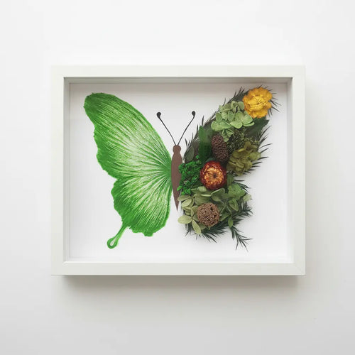 Green butterfly dried floral shadow box kit