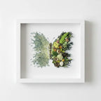 Butterfly Crystal & Dried Floral Shadow Box Kit